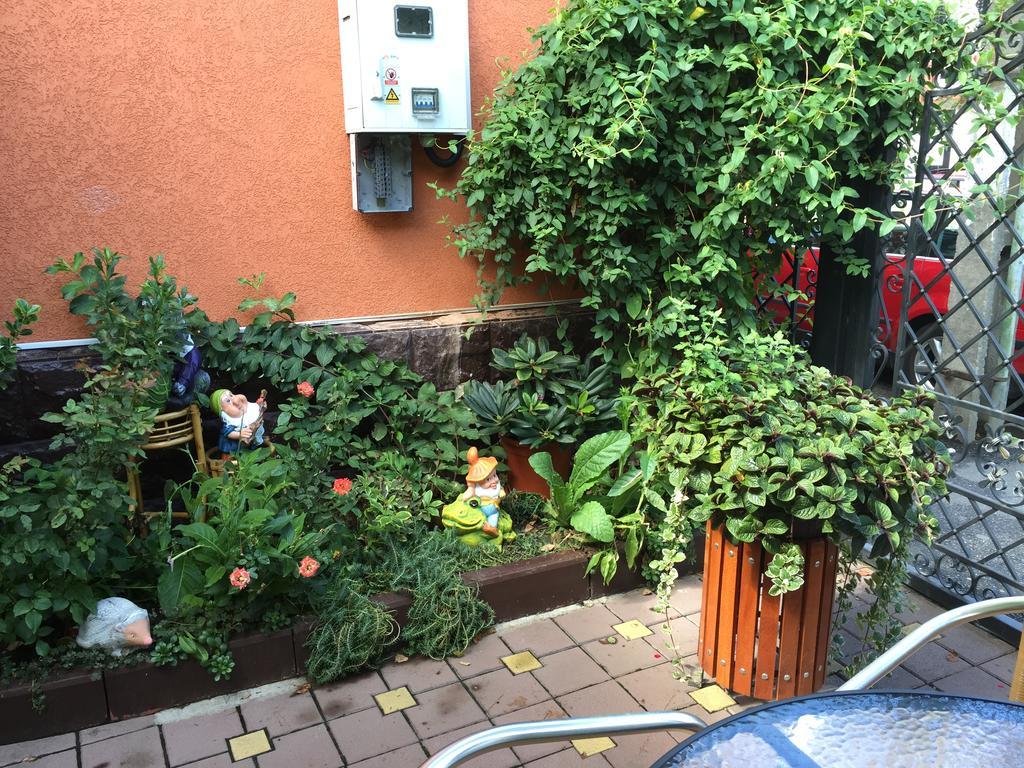 德瓦 Casa Belazur酒店 外观 照片